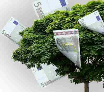 Τα “λεφτόδεντρα” και φυτεύονται και ευδοκιμούν – Σε ιδιωτική εταιρεία 72.000 ευρώ για την ιστοσελίδα «Μαθαίνουμε στο σπίτι» του υπουργείου Παιδείας