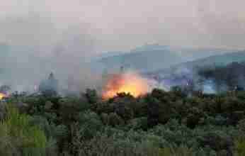 Υπό μερικό έλεγχο τέθηκε η δασική πυρκαγιά στην περιοχή της Νεμέας