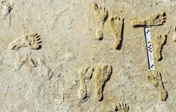 Ανακαλύφθηκαν τα παλαιότερα ανθρώπινα αποτυπώματα στη Βόρεια Αμερική