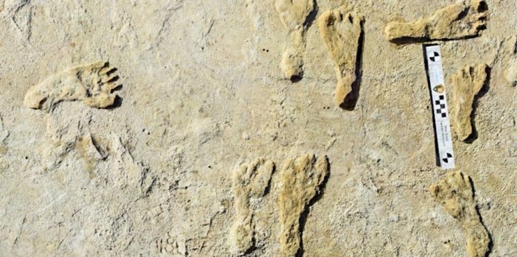 Ανακαλύφθηκαν τα παλαιότερα ανθρώπινα αποτυπώματα στη Βόρεια Αμερική