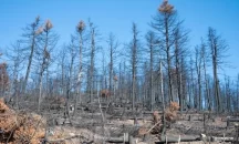 Χριστουγεννιάτικος «γκαιμπελισμός» Σταματόπουλου βαφτίζει τις κρατικές αποφάσεις δικά του θαύματα!