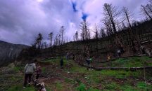 Η δενδροφύτευση της Καστανιάς, το «άλμα λογικής» του τοπικού Προέδρου και το «γιούπι γιαγιά» με την πατρότητα της δράσης