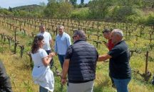 Δημήτρης Πιστεύος: Πράξεις και όχι διαπιστώσεις για τους πληγέντες από τον παγετό – Πρόταση για ίδρυση αυτοτελούς Γραφείου Αγροτικής Μέριμνας